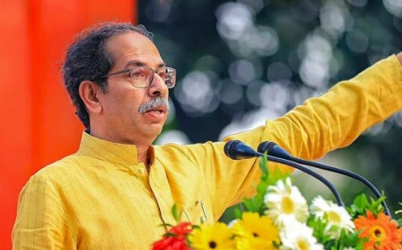 'Maha Vikas Aghadi government toppled by trapping MLAs in honeytrap', Shiv Sena UBT's claim