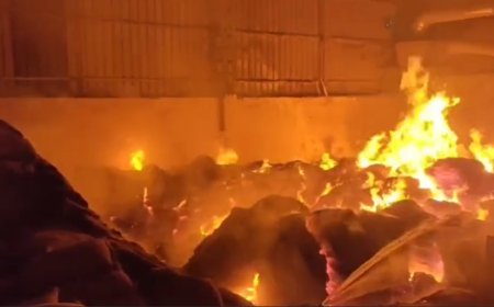 Massive fire in Mahalaxmi Rice Mill in Katni, Wardan worth lakhs burnt to ashes