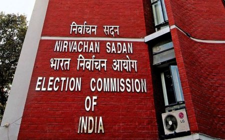 Election process begins for the new Vice President of the country, Know what are the main activities of the election program