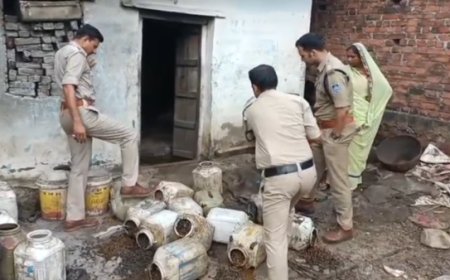 Major action by Katni Police, Crackdown on illegal liquor, several accused arrested