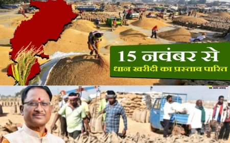 Paddy procurement will begin on November 15th, Registration required by October 31st