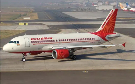 Air India's Boeing 787 aircraft have multiple defects, halt flights, pilots' union issues three demands