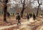 Security forces continue their operations for the second day, Seven Maoists killed, over 50 arrested