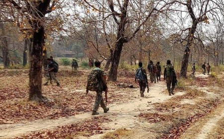 Security forces continue their operations for the second day, Seven Maoists killed, over 50 arrested